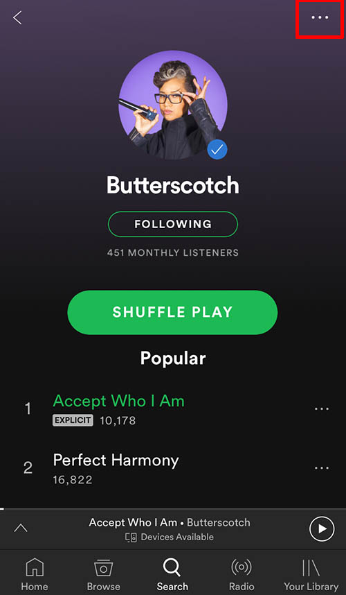 spotify profile search