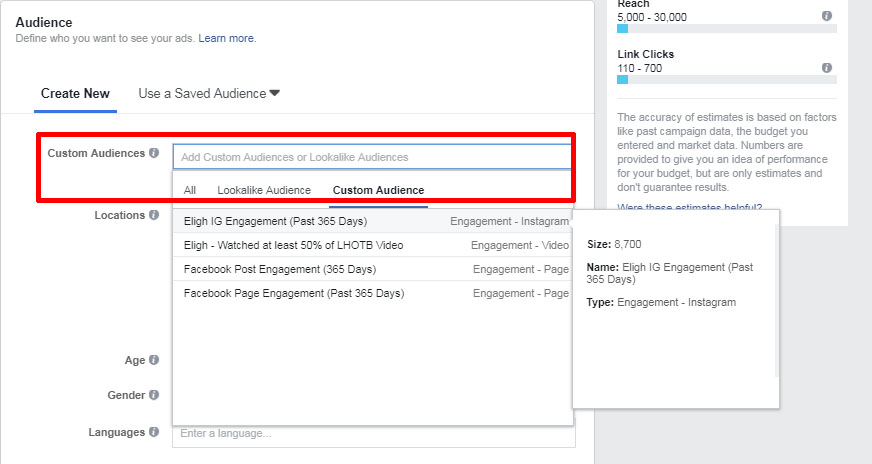 Traffic Custom Audience